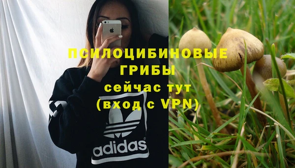 не бодяженный Абаза