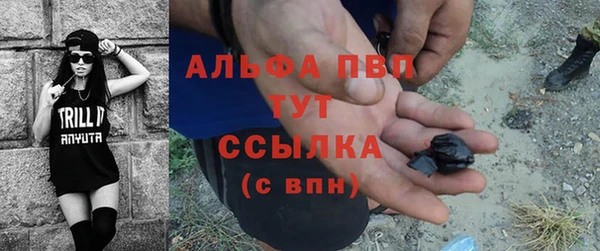 спиды Алзамай